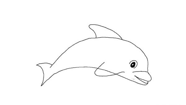 一步步教你画可爱的海豚简笔画画法步骤图解教程
