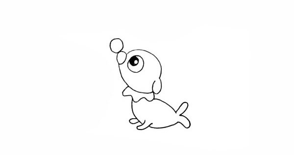 彩色小海狗如何画 可爱的小海狗简笔画步骤图教程