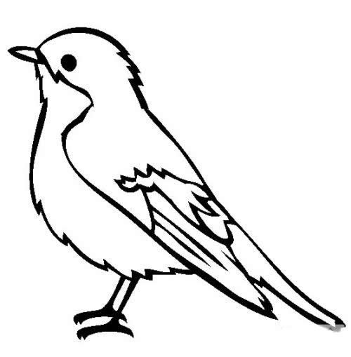 小鸟简笔画图片大全_超简单的鸟儿简笔画图片素材