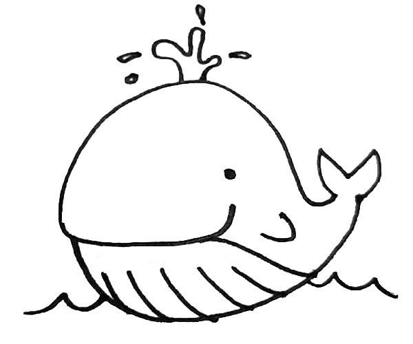 儿童学画可爱的鲸鱼简笔画步骤图解教程